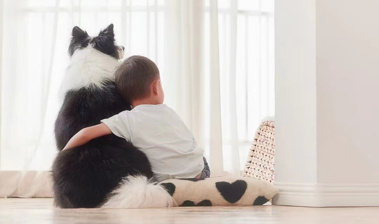 Hoe om 'n hoë kwaliteit hondekos te kies